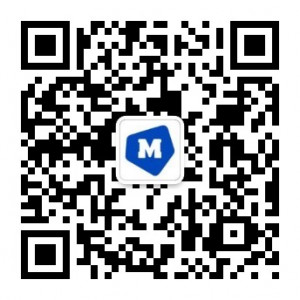 MOODLES魔斗仕